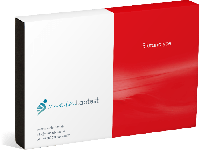 Bluttest XL