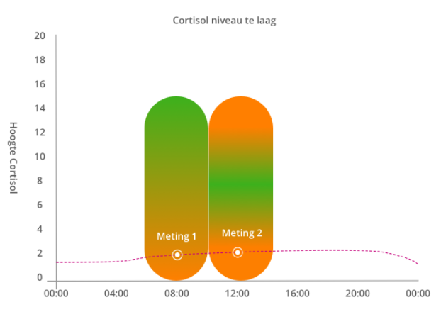 cortisol verloop afbeelding