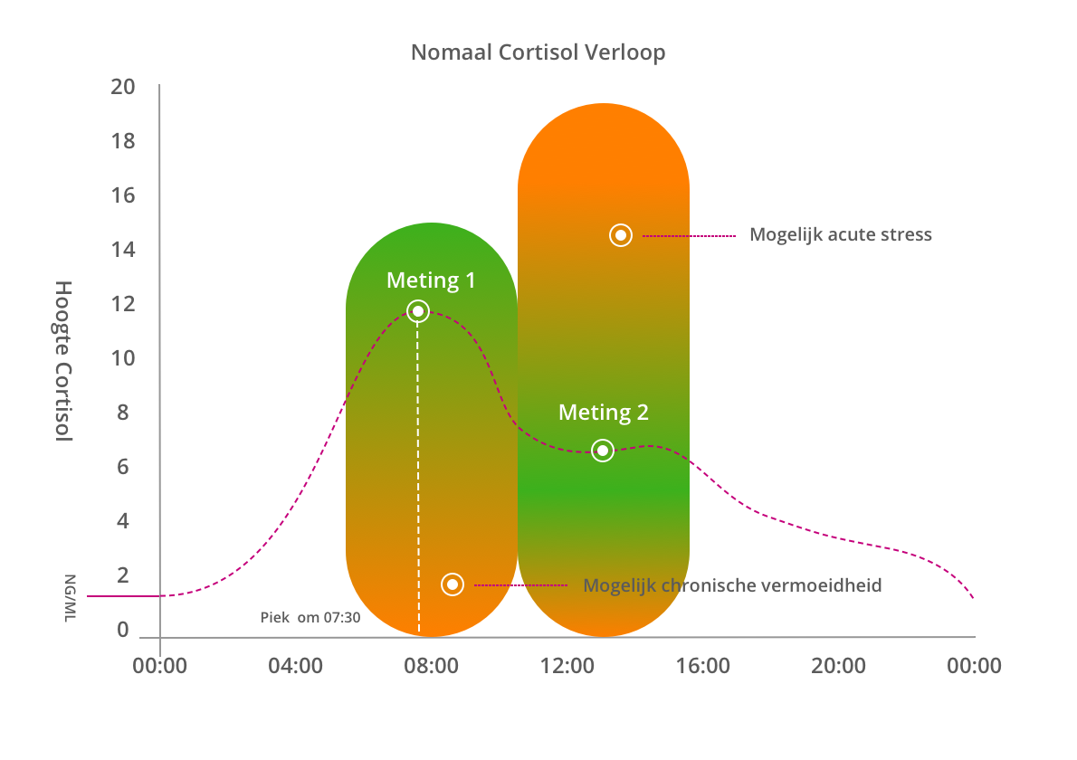 Cortisol verloop