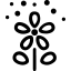 Heuschnupfen